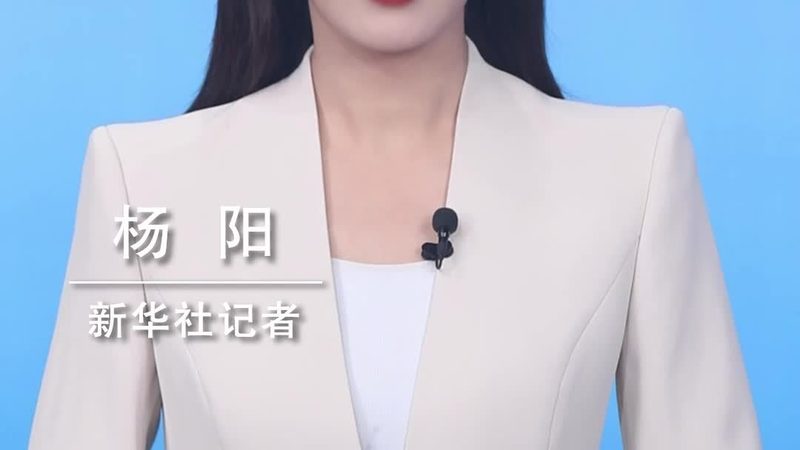 人工智能应用开发主流框架解析：核心技术与趋势**